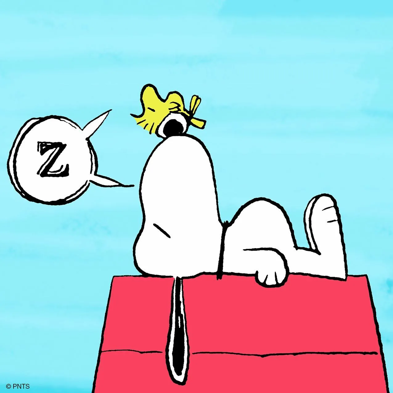 Cover image for “Six Things Employees Don’t Know about Sleep”